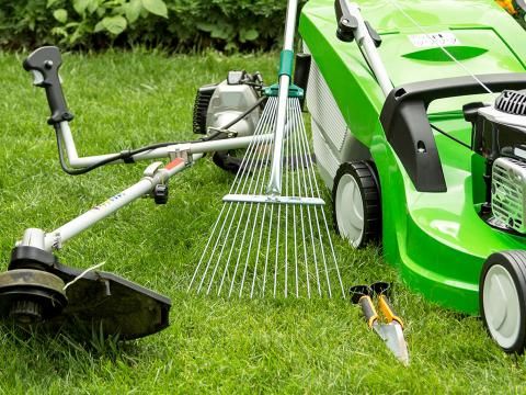 Lawn Maintenance