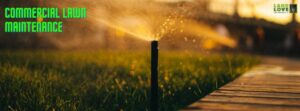 commercial lawn maintenance