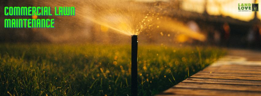 commercial lawn maintenance