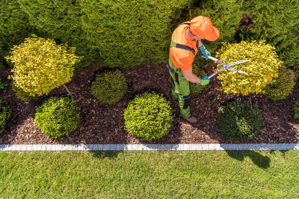 mulching service in Brockton